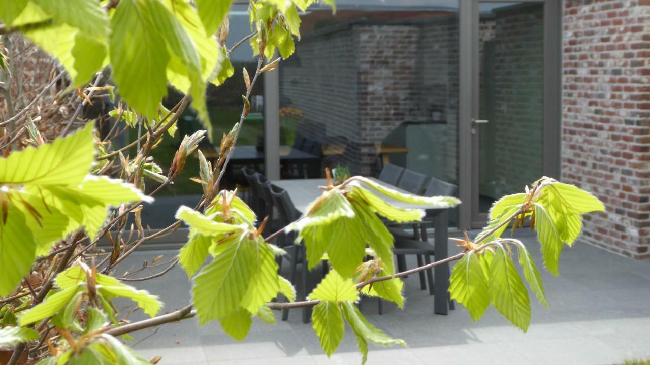 Camilles House Villa Wijtschate Eksteriør billede